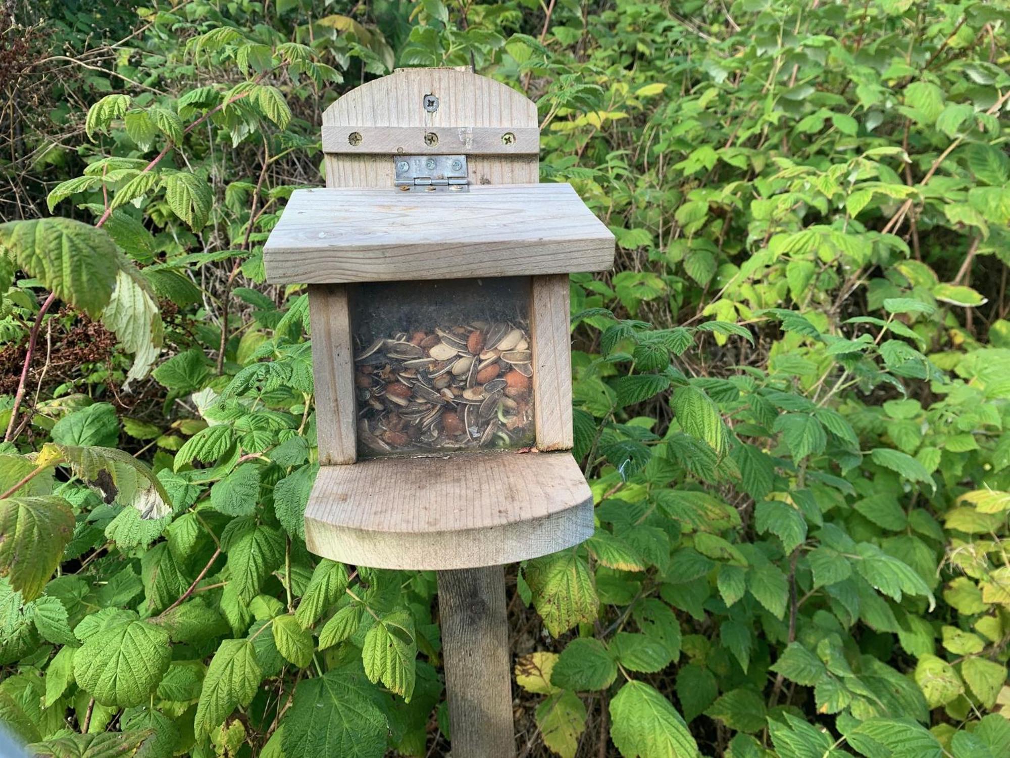 Red Squirrel Pod With Hot Tub Villa Oban Eksteriør billede